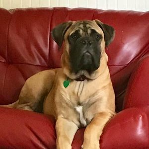 Meet your Posher, Renee